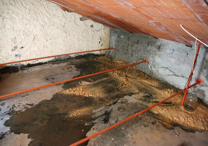 Leaking Ceiling Repair in Alpharetta, GA