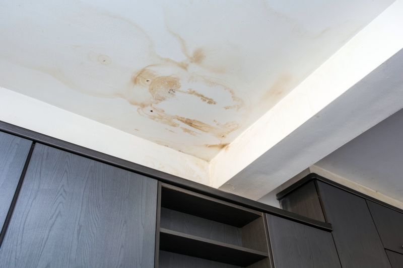 Ceiling Removal Service in Conroe, TX