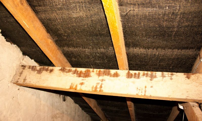 Water Damage Ceiling Repair in Littleton, CO