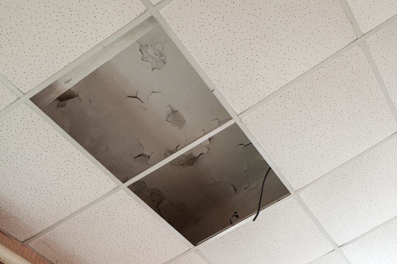 Water Damage Ceiling Repair in Denver County, CO